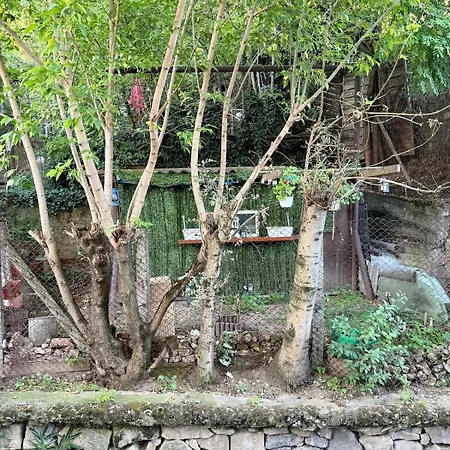 Apartment Quiet Near Park With Garden View