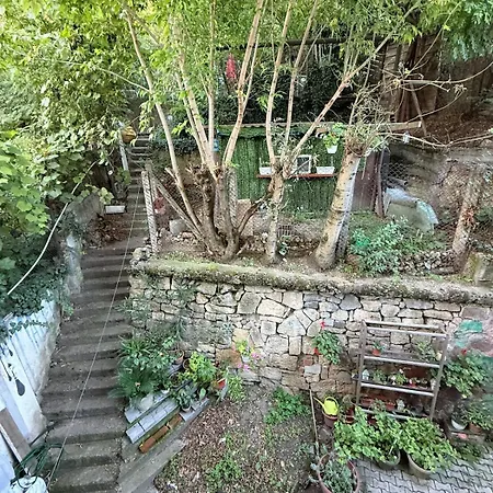 Apartment Quiet Near Park With Garden View